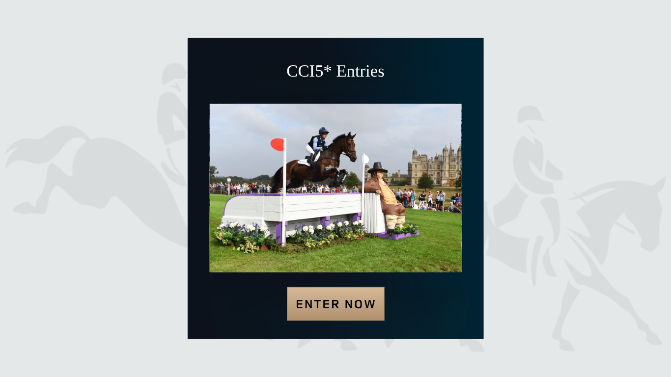 CCI5* ENTRIES