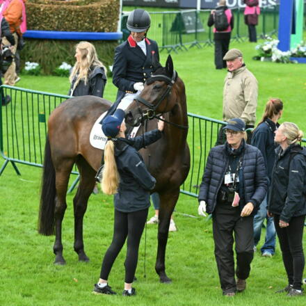 Harry Meade ET HOP DBHT25 PN41084