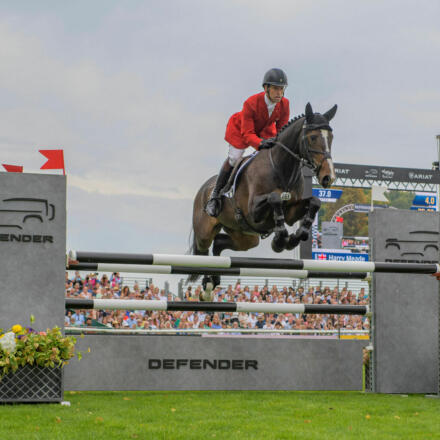 Harry Meade CAVALI 328