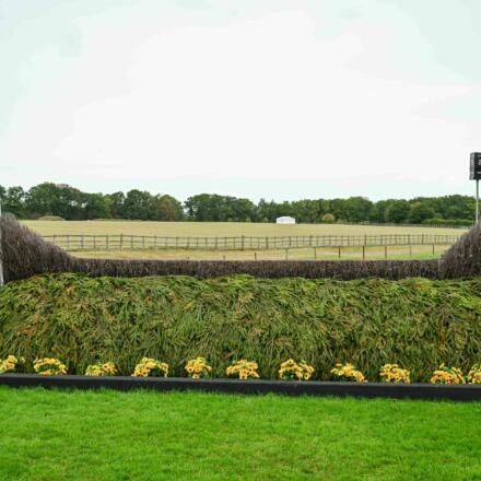 20 Fence DBHT25 PN38464
