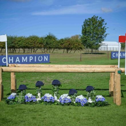 20 Fence BHT15144