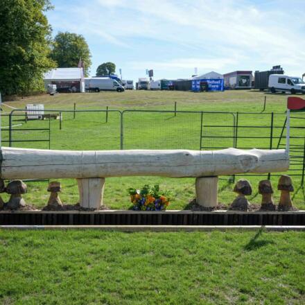 25 Fence BHT15142