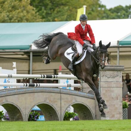 Harry Meade CAVALI DBHT25 PN46031