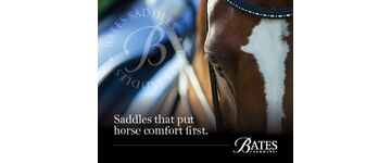 Bates Brand Web Squares 2024 300x250