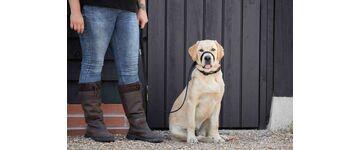 Uniwalker Black Lead Labrador 3