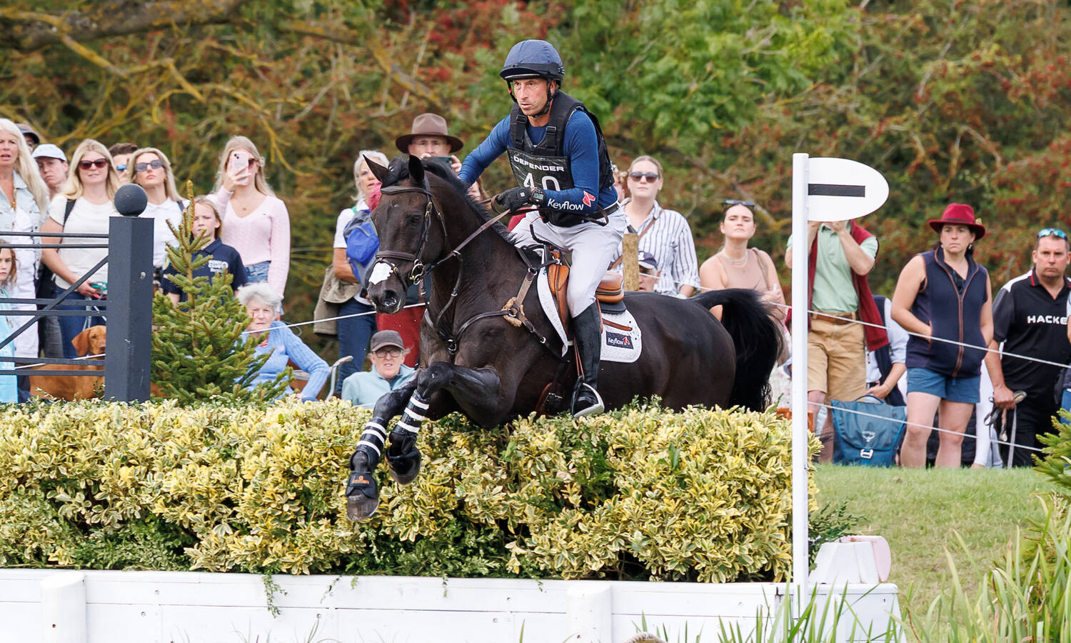 L LAW 25 BURGHLEY NZL Price 7442 1