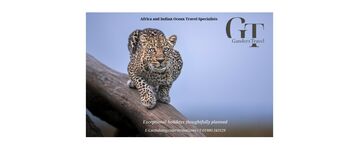 Ganders Ad for show websites