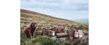 Moorland 7 B