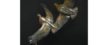 BIRDS PAIR2