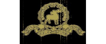 Logo big