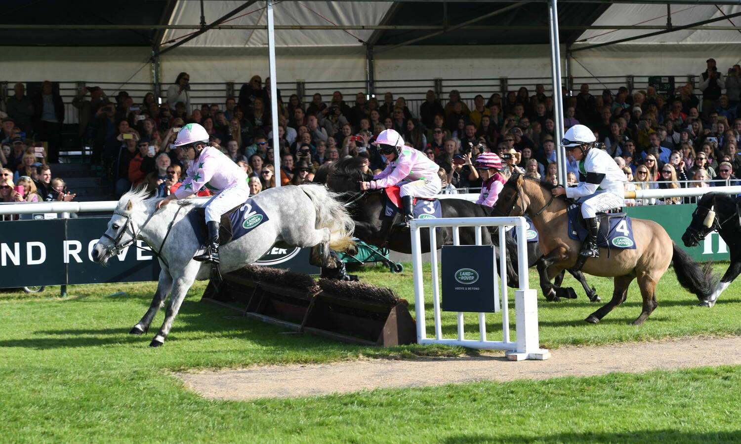 Shetland Pony Grand National TM19 122166