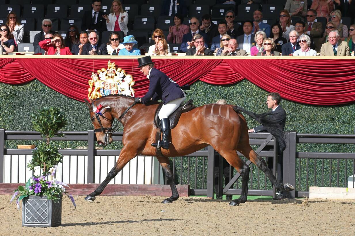 Supreme horse title in 2017 at Royal Windsor Horse Show