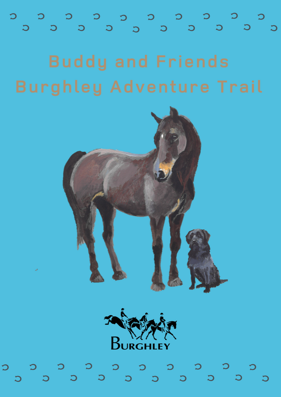 Buddy Burghley Adventure book 2