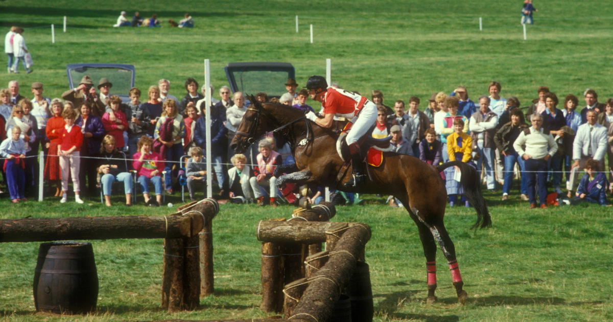 LeMieux Equestrian