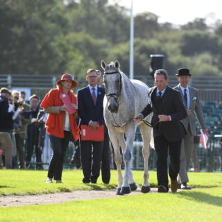 Oliver Townend BALLAGHMOR CLASS LRBHT PN19 102509