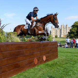 Ringwood Sky Boy Lrbht Pn18 85