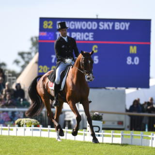 Tim Price RINGWOOD SKY BOY LRBHT PN19 113809