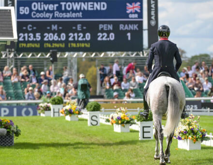 800 Oliver Townend COOLEY DBHT25 PN42134