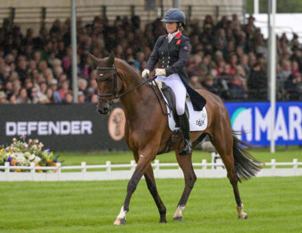 800 Piggy March MCS MA DBHT25 PN40247