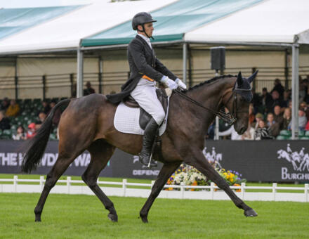 800 Tom Strawson PUBLIC DBHT25 PN40148 3