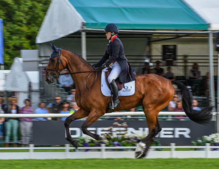 Pippa Funnell Billy Walk On LRBHT PN22 38546