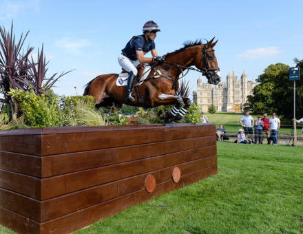 Ringwood Sky Boy Lrbht Pn18 85