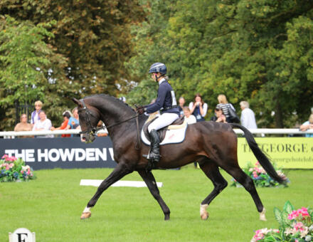 Stallion Parade Catherston Oakley MB2 5461