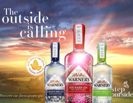 Warners Gin