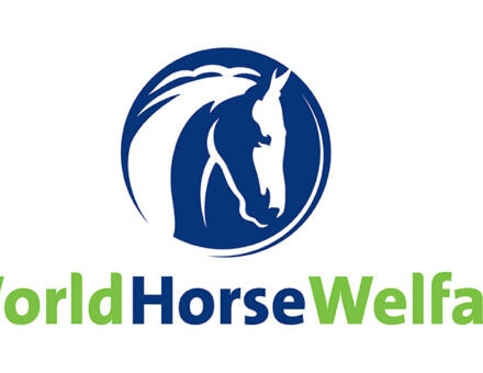 World Horse Welfare Primary Logo Navy Blue and Kelly Green RGB DIGITAL jpg