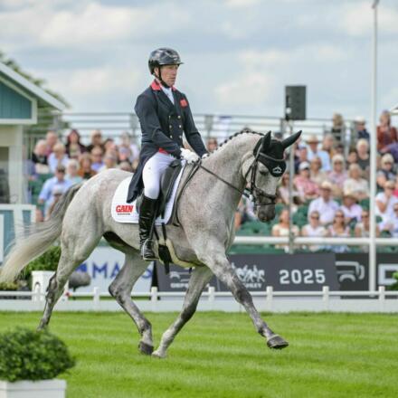 Oliver Townend COOLEY DBHT25 PN41921