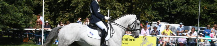 British Sport Horse LRBHT PN18 101110