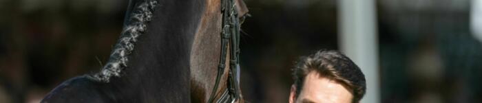Harry Meade CAVALI DBHT25 PN38528