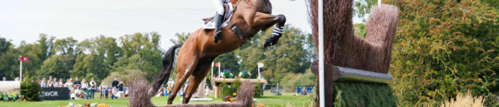 L LAW 25 BURGHLEY NZL Innes 2162