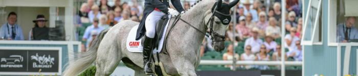 Oliver Townend COOLEY DBHT25 PN41921