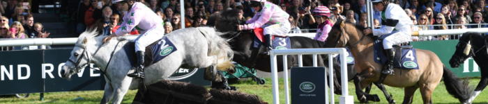 Shetland Pony Grand National TM19 122166