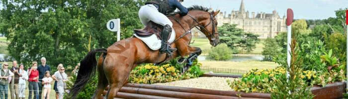 Alexander Bragg ARDEO PREMIER DBHT25 PN44614