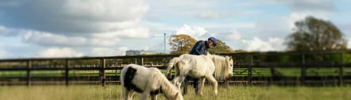 HF Sharon Ozzy 231025 13 extended blurred