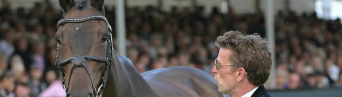 Simon Grieve AUTOGRAF DBHT25 P203179