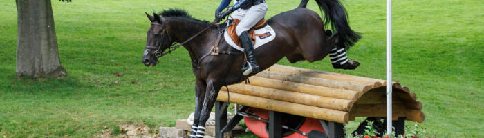 Tim Price VITALI 7224 Libby Law