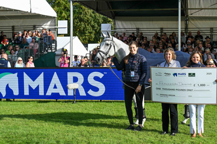 800 Grooms Award DBHT25 PN44824 2