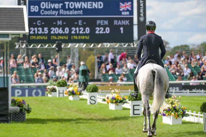 800 Oliver Townend COOLEY DBHT25 PN42134