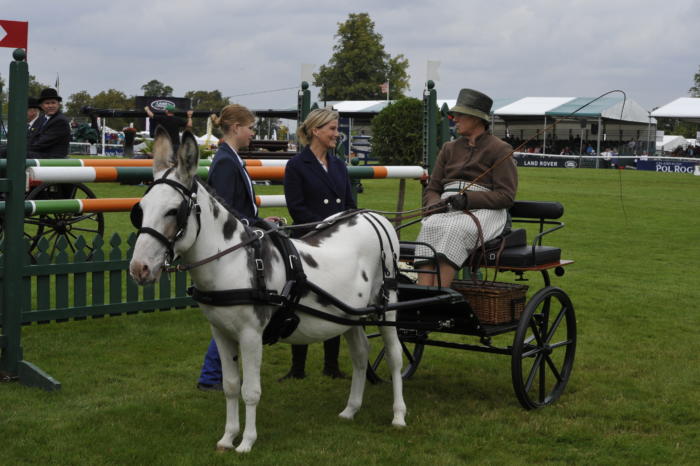 Donkey Parade Burghley PN17 94172