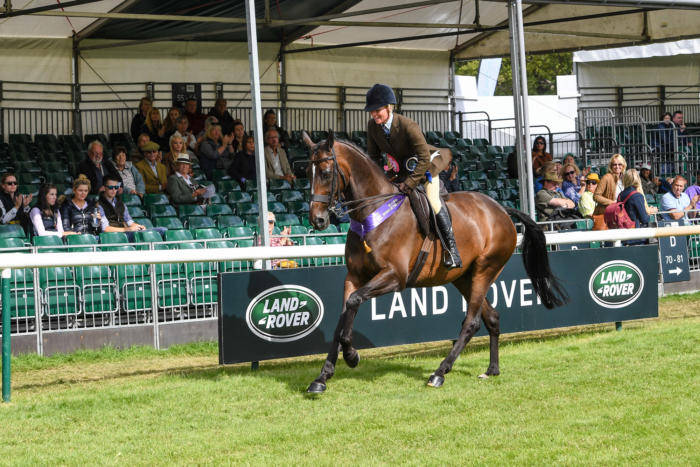 LR Lough Inch LRBHT MR19 129332