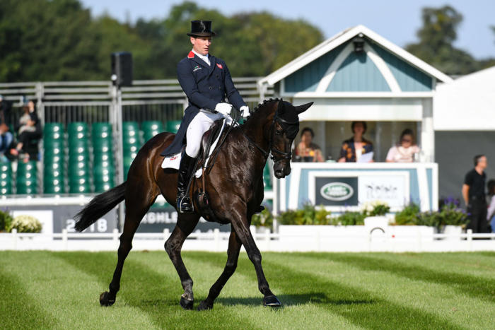 Mhs King Joules Lrbht Np18 80844