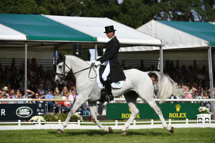 Mark Todd LRBHT PN18 95410