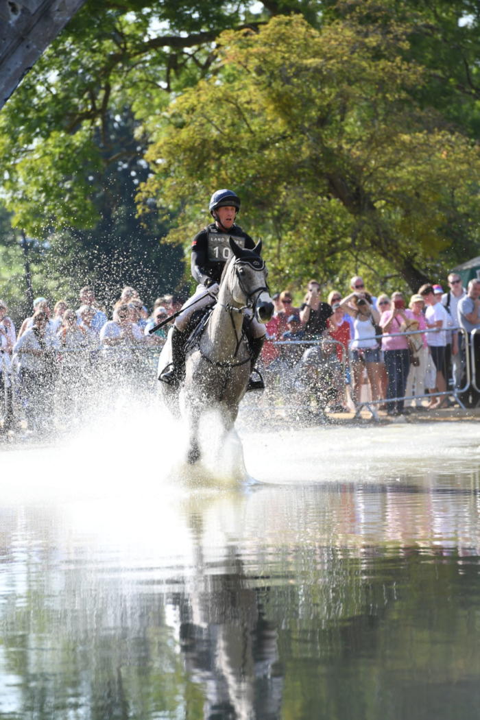 Oliver Townend LRBHT PN18 95650