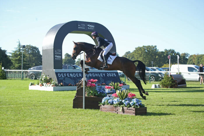 Quantum Leap DBYEH 5yo NB2 0201