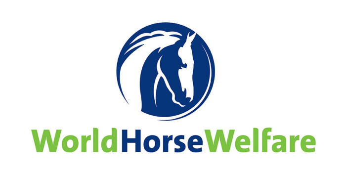 World Horse Welfare Primary Logo Navy Blue and Kelly Green RGB DIGITAL jpg